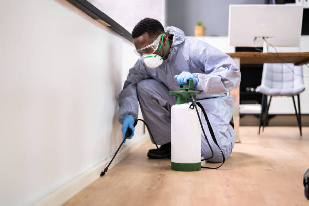 Best Emergency Pest Control  in Cupertino, CA